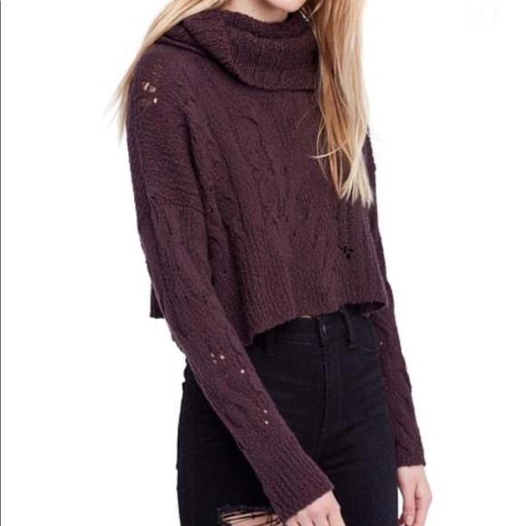 Free People Sweaters - Free People Shades Of Dawn Crop Sweater- NWT